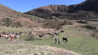 RITORNO A CASA DAI MONTI