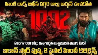 Pushpa 2 Hindi Box Office Collection | Allu Arjun | Sukumar | Telugu Vahini