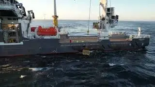 Pacu™ Imenco