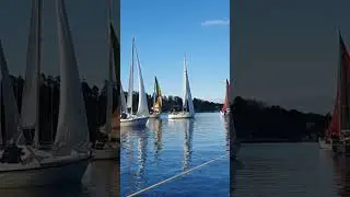 Is this the slowest #sailing #race ever? #sailboat #stockholm #sailrace #regatta #slow