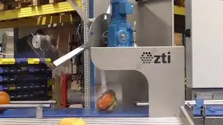 ZTI Sorting Line Pumpkin