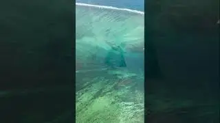 🏝️🇲🇺🕺 Mauritius underwater waterfall ❤️ Маврикий подводный водопад