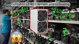Goldshell LB Box unboxing and review + Profit
