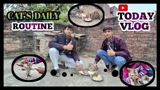 Hamari Pyari Billi Ka Pura Din! 🐱 | Cat&rsquo;s Daily Routine