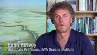 UWA Science majors: Marine Science