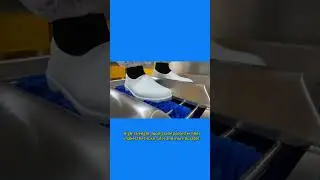 boot sole cleaning machine for meat processing plant #shoe cleaning#food factory#boot cleaning