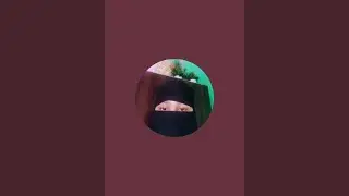 KITCHEN QUEEN NAAZ is live