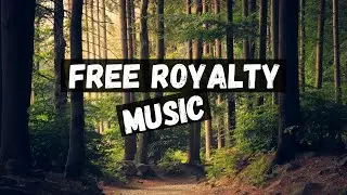 Monaldin - Without Your Love || (Free Royalty Music)