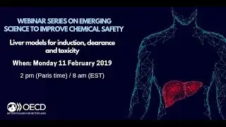 OECD Webinar | New Methodologies on Liver Models for Induction, Clearance and Toxicity