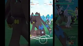 ✨️Black Kyurem V/S Zygarde PVP Legendary Battle in #pokemongo