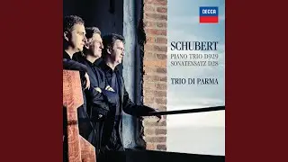 Schubert: Piano Trio No. 2 in E flat, Op. 100 D.929 - 2. Andante con moto