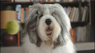 Dulux Wash&Wear&reg;
