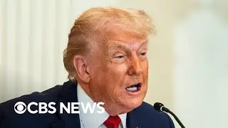 New poll captures dissatisfaction over economy, immigration as Trump nears 1 year back in office