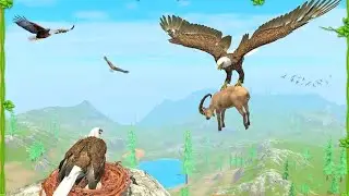 Eagle Simulator - Gameplay