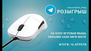 Розыгрыш EndGame Gear XM1R в Telegram 4FRAG!