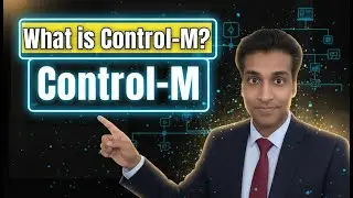Что такое Control-M? Обзор Control-M