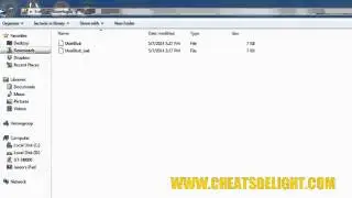 fv2 countryescape cheatguide complete