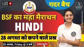 Bsf Tradesman Exam 2023 | Bsf Tradesman Hindi Practice Set |  Bsf Hindi Merathan class