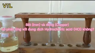 Th&iacute; Nghiệm Fe V&agrave; Cu Phản Ứng Với HCl