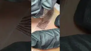 Cejas mixtas paso a paso 🖌️ #micropigmentaci&oacute;ndecejas