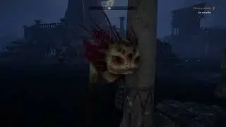 Tainted Grail: Feeding Qrko