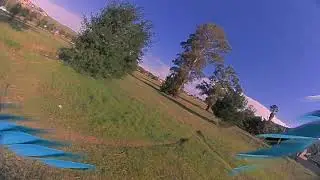 Trippy Trees- Learning Matty Stuntz