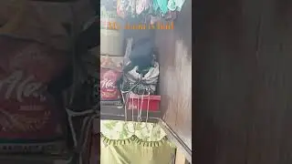 hehe