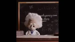 InsureSmart Einstein - Smarty Pants (Short)