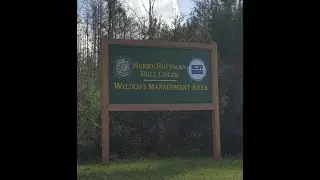 Hunting Bull Creek WMA round 2
