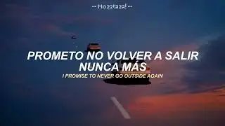 Goodbye - Bo Burnham (Sub Espa&ntilde;ol + Lyrics)