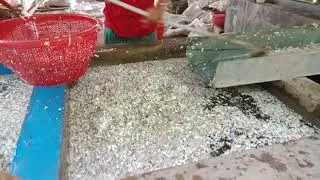 Cara Penggilingan limbah plastik