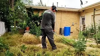 DISABLED Air Force VETERAN Needed Help RESTORING Her Overgrown Lawn