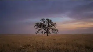 Midwest Emo Vibes &ndash; Soft Guitar for Mental Rest