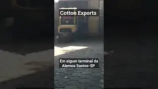 Operacional #portodesantos #inspector #inspection #loading #operacional #exportacion #cotton