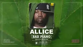 🔥 Allice | Raekwon Type Beat | 2609