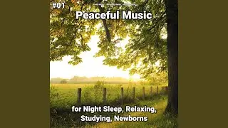 Delightful Echoes