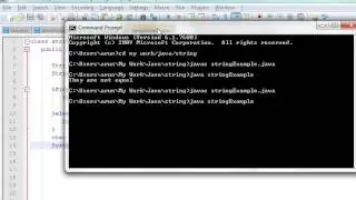 String Handling in Java Programming Language (Hindi)