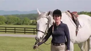 BHTV: Opportunities Abound for Equestrian Living in WNC