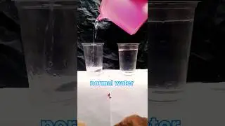 Amank-experiment || fevicol vs Salt water#science #trending #viral #experiment