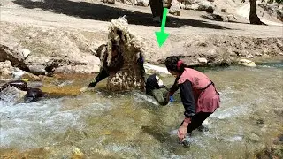 🌞 A terrible incident for Akram in the heart of nature! Miraculous rescue by a giant! 🧞‍♂️💔