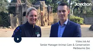 Video Job Ad Senior Manager Animal Care & Conservation Melbourne Zoo