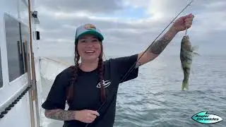 Sum Fun | Dana Wharf | Bass Fishing