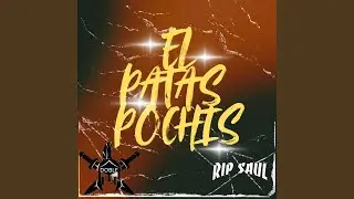 El Patas Pochis
