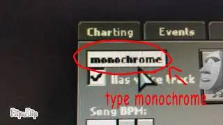 How to get monochrome in vs grunt gaming 2.0