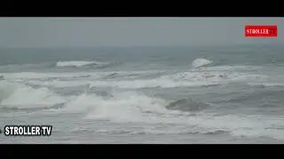 AMAZING lOCATION IN GOA| Stroller Tv
