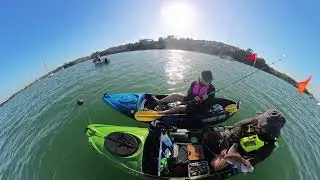 Small Kayak Mission to Island Bay
