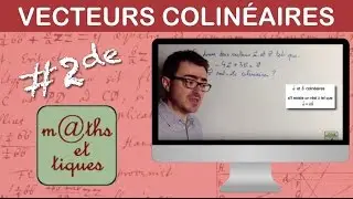 D&eacute;montrer que deux vecteurs sont colin&eacute;aires - Seconde