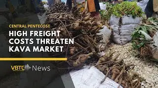 High freight costs threaten kava market in central Pentecost | VBTC News