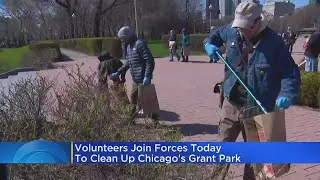 Volunteers Clean Up Chicago's Grant Park