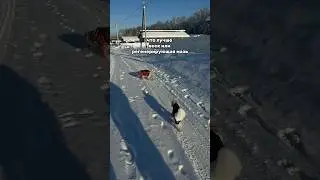 Поэтому у нас есть все 🥹 Воск WB #217883800, мазь WB  в банке #271212407, в стике WB  #291110647